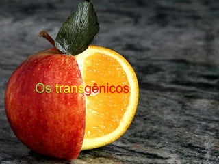 Os transgênicos

 