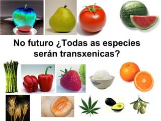 No futuro ¿Todas as especies serán transxenicas? 