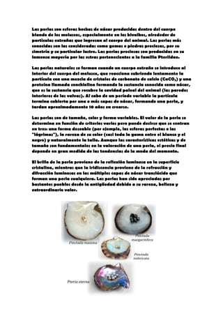 Las perlas son esferas hechas de nácar producidas dentro del cuerpo
blando de los moluscos, especialmente en los bivalbos, alrededor de
partìculas extrañas que ingresan al cuerpo del animal. Las perlas más
conocidas son las consideradas como gemas o piedras preciosas, por su
simetría y su particular lustre. Las perlas preciosas son producidas en su
inmensa mayoría por las ostras pertenecientes a la familia Pteriidae.
Las perlas naturales se forman cuando un cuerpo extraño se introduce al
interior del cuerpo del molusco, que reacciona cubriendo lentamente la
partícula con una mezcla de cristales de carbonato de calcio (CaCO3) y una
proteína llamada conchiolina formando la sustancia conocida como nácar,
que es la sustancia que recubre la cavidad paleal del animal (las paredes
interiores de las valvas). Al cabo de un período variable la partícula
termina cubierta por una o más capas de nácar, formando una perla, y
tardan aproximadamente 10 años en crearse.
Las perlas son de tamaño, color y forma variables. El valor de la perla se
determina en función de criterios varios pero puede decirse que se centran
en tres: una forma deseable (por ejemplo, las esferas perfectas o las
"lágrimas"), la rareza de su color (casi toda la gama entre el blanco y el
negro) y naturalmente la talla. Aunque las características estéticas y de
tamaño son fundamentales en la valoración de una perla, el precio final
depende en gran medida de las tendencias de la moda del momento.
El brillo de la perla proviene de la reflexión luminosa en la superficie
cristalina, mientras que la iridiscencia proviene de la refracción y
difracción luminosas en las múltiples capas de nácar translúcido que
forman una perla cualquiera. Las perlas han sido apreciadas por
bastantes pueblos desde la antigüedad debido a su rareza, belleza y
extraordinario valor.
 