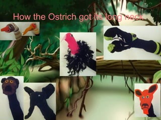 How the Ostrich got its long neck
 