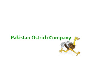 Pakistan Ostrich Company

 