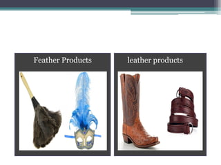 Feather Products leather products
 