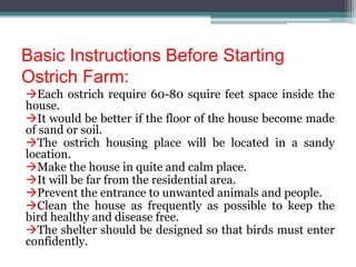 Basic Instructions Before Starting
Ostrich Farm:
Each ostrich require 60-80 squire feet space inside the
house.
It would be better if the floor of the house become made
of sand or soil.
The ostrich housing place will be located in a sandy
location.
Make the house in quite and calm place.
It will be far from the residential area.
Prevent the entrance to unwanted animals and people.
Clean the house as frequently as possible to keep the
bird healthy and disease free.
The shelter should be designed so that birds must enter
confidently.
 