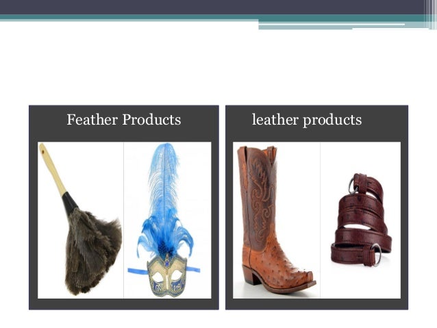 Feather Products leather products
 