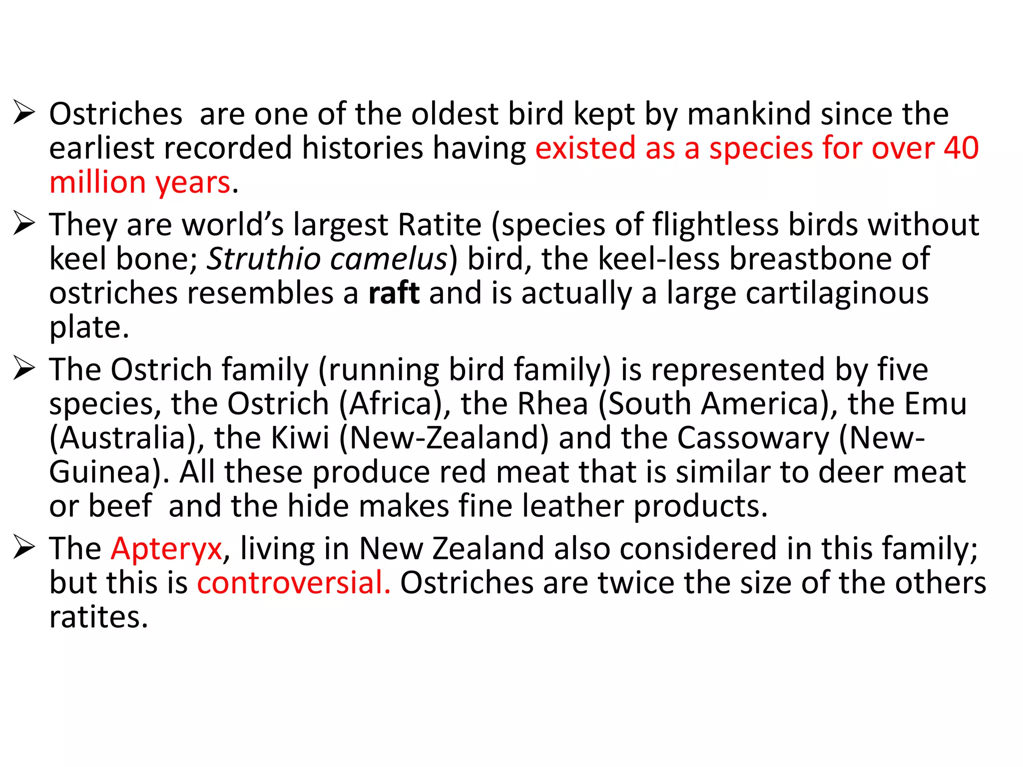 Ostrich farming in Pakistan | PPTX