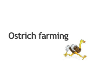 Ostrich farming
 