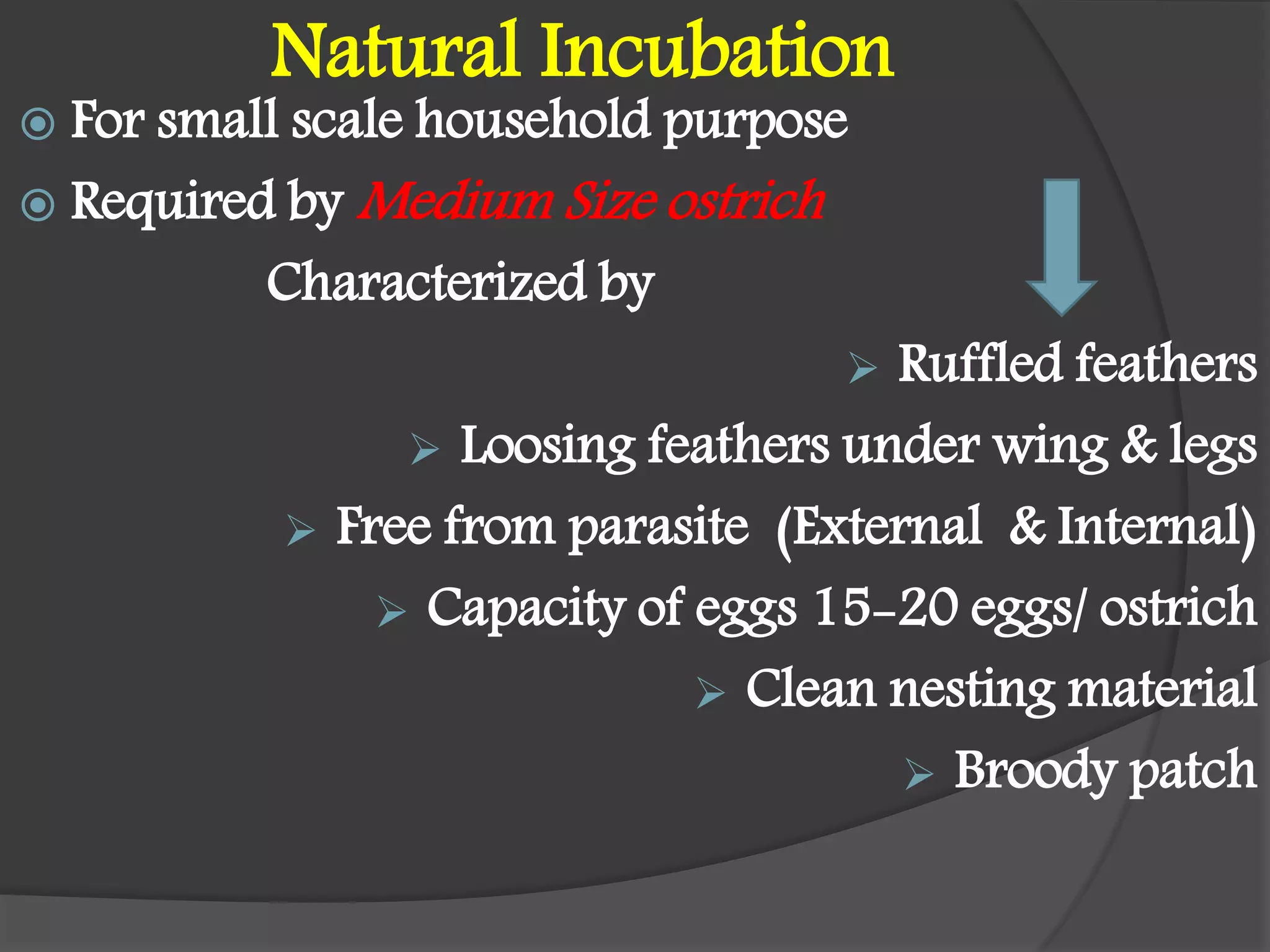 Natural Incubation
 For small scale household purpose
 Required by Medium Size ostrich
Characterized by
 Ruffled feathers
 Loosing feathers under wing & legs
 Free from parasite (External & Internal)
 Capacity of eggs 15-20 eggs/ ostrich
 Clean nesting material
 Broody patch
 