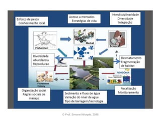 © Prof. Simone Athayde, 2016
 