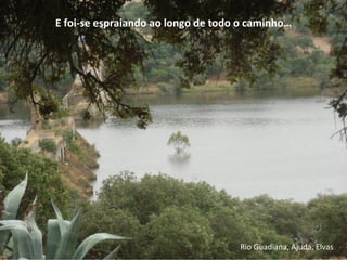 E foi-se espraiando ao longo de todo o caminho…
Rio Guadiana, Ajuda, Elvas
 