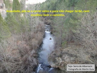 Assustado, pôs-se a correr veloz e para não chegar tarde, nem
escolheu bem o caminho.
Tejo- Serra de Albarracin
Fotografia de Martin Guia
Tejo- Serra de Albarracin
Fotografia de Martin Guia
 