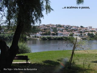 …e acalmou o passo,
Rio Tejo – Vila Nova da Barquinha
 