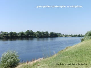 …para poder contemplar as campinas.
Rio Tejo, a caminho de Santarém
 