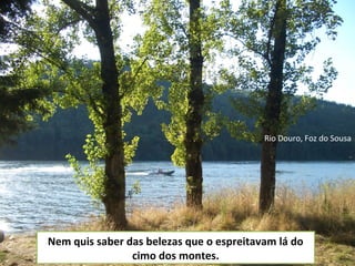Nem quis saber das belezas que o espreitavam lá do
cimo dos montes.
Rio Douro, Foz do Sousa
 