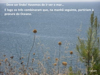 - Deve ser lindo! Havemos de ir ver o mar…
E logo os três combinaram que, na manhã seguinte, partiriam à
procura do Oceano.
Cascais
 
