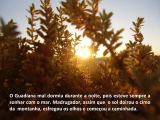 O Guadiana mal dormiu durante a noite, pois esteve sempre a
sonhar com o mar. Madrugador, assim que o sol doirou o cimo
da montanha, esfregou os olhos e começou a caminhada.
 