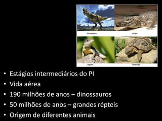 •   Estágios intermediários do PI
•   Vida aérea
•   190 milhões de anos – dinossauros
•   50 milhões de anos – grandes répteis
•   Origem de diferentes animais
 