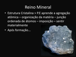 Reino Mineral
• Estrutura Cristalina > P.E aprende a agregação
  atômica – organização da matéria – junção
  ordenada de átomos – imposição – sentir
  materialmente
• Após formação...
 