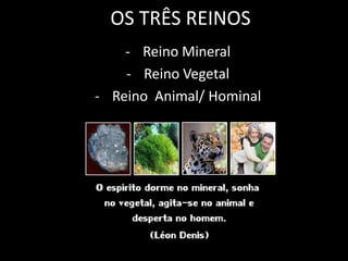 OS TRÊS REINOS
    - Reino Mineral
    - Reino Vegetal
- Reino Animal/ Hominal
 