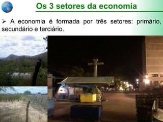 Os 3 setores da economia
 A economia é formada por três setores: primário,
secundário e terciário.
 
