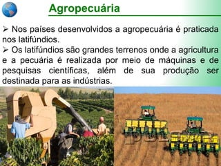 Agropecuária
 Nos países desenvolvidos a agropecuária é praticada
nos latifúndios.
 Os latifúndios são grandes terrenos onde a agricultura
e a pecuária é realizada por meio de máquinas e de
pesquisas científicas, além de sua produção ser
destinada para as indústrias.
 