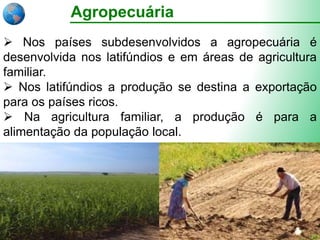 Agropecuária
 Nos países subdesenvolvidos a agropecuária é
desenvolvida nos latifúndios e em áreas de agricultura
familiar.
 Nos latifúndios a produção se destina a exportação
para os países ricos.
 Na agricultura familiar, a produção é para a
alimentação da população local.
 