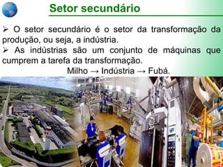 Os três setores da economia na América | PPTX