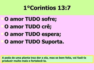 1°Corintios 13:7 O amor TUDO sofre; O amor TUDO crê; O amor TUDO espera; O amor TUDO Suporta. A poda de uma planta traz dor a ela, mas se bem feita, vai fazê-la produzir muito mais e fortalecê-la. 