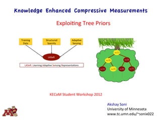 Knowledge Enhanced Compressive Measurements
Training'
Data'
Structured'
Sparsity'
Adap3ve'
Sensing'
LASeR'
LASeR:'Learning'Adap3ve'Sensing'Representa3ons'
a`(1)
a`(2)
a`(5)
a`(3)
a`(4) a`(6) a`(7)
Akshay	
  Soni	
  
University	
  of	
  Minnesota	
  
www.tc.umn.edu/~sonix022	
  
KECoM	
  Student	
  Workshop	
  2012	
  
ExploiEng	
  Tree	
  Priors	
  
 
