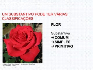 O substantivo e sua construção de sentidos nos textos..pptx