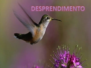 DESPRENDIMENTO