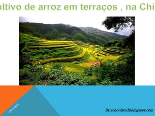 By:schoolstudy.blogspot.com
 