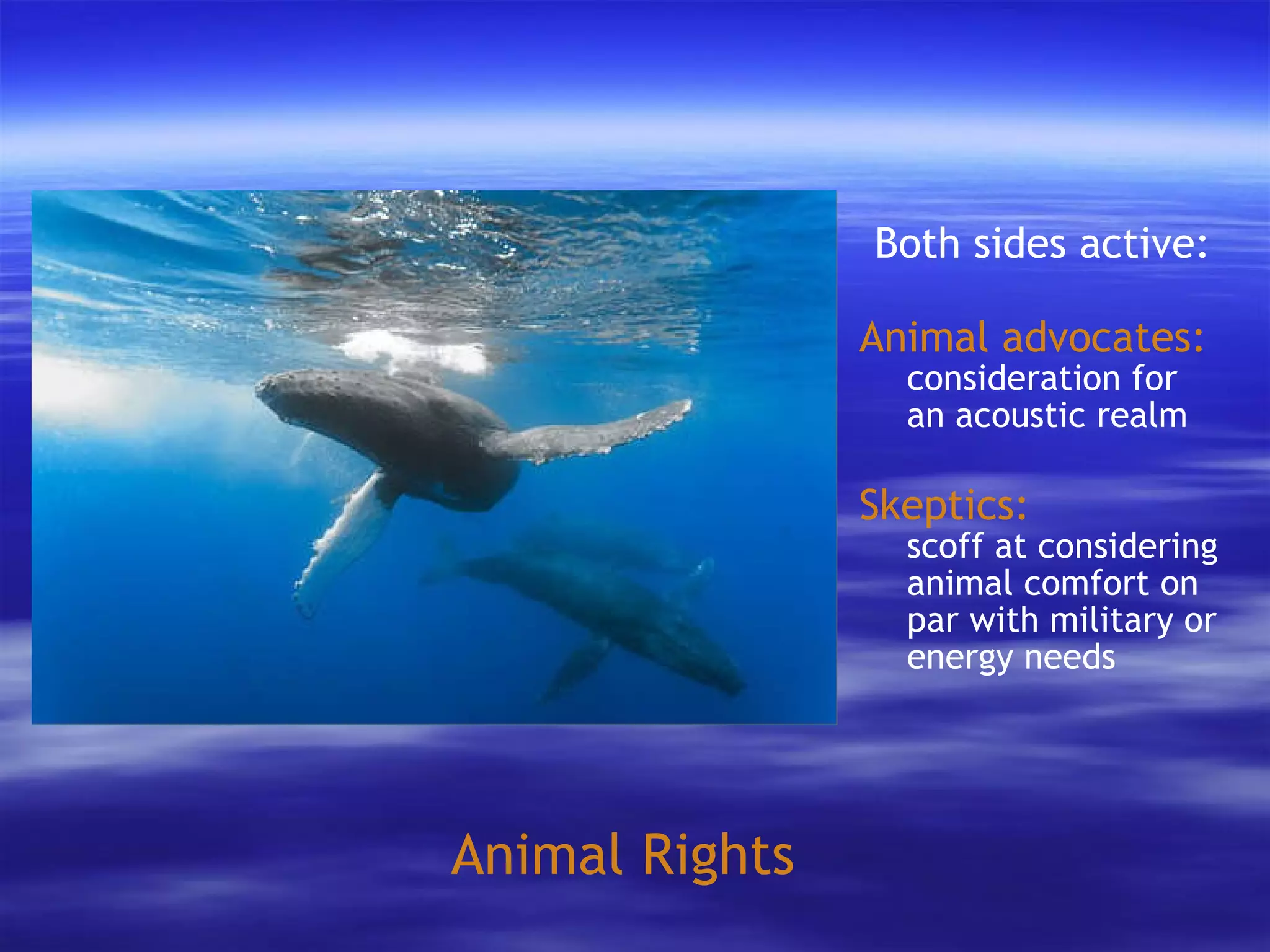 Animal Rights Both sides active: Animal advocates:   consideration for an acoustic realm Skeptics: scoff at considering animal comfort on par with military or energy needs 