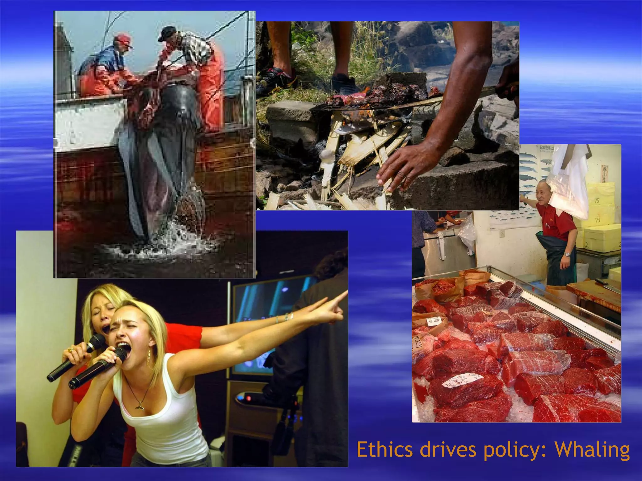 Ethics drives policy: Whaling 