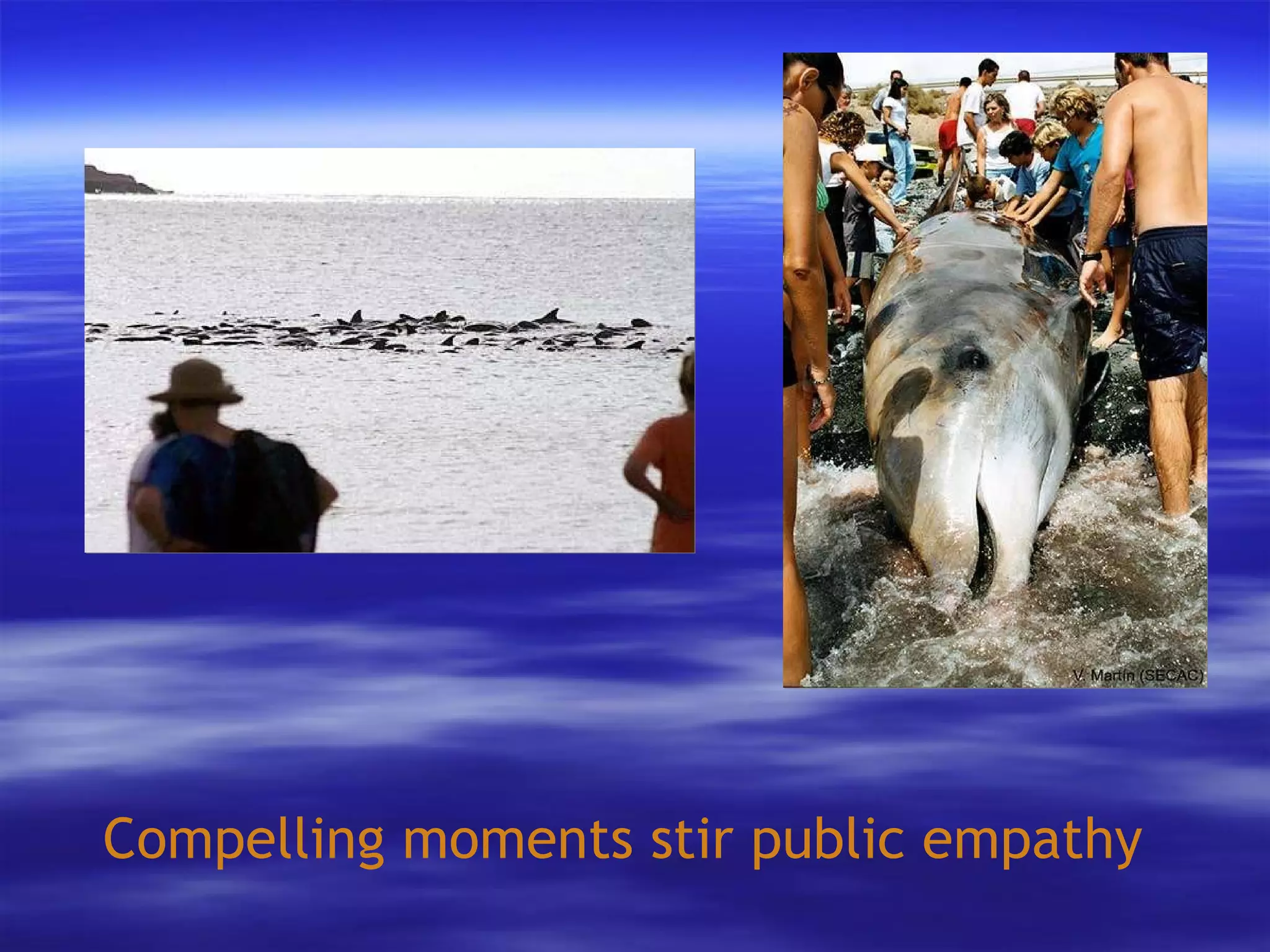 Compelling moments stir public empathy 