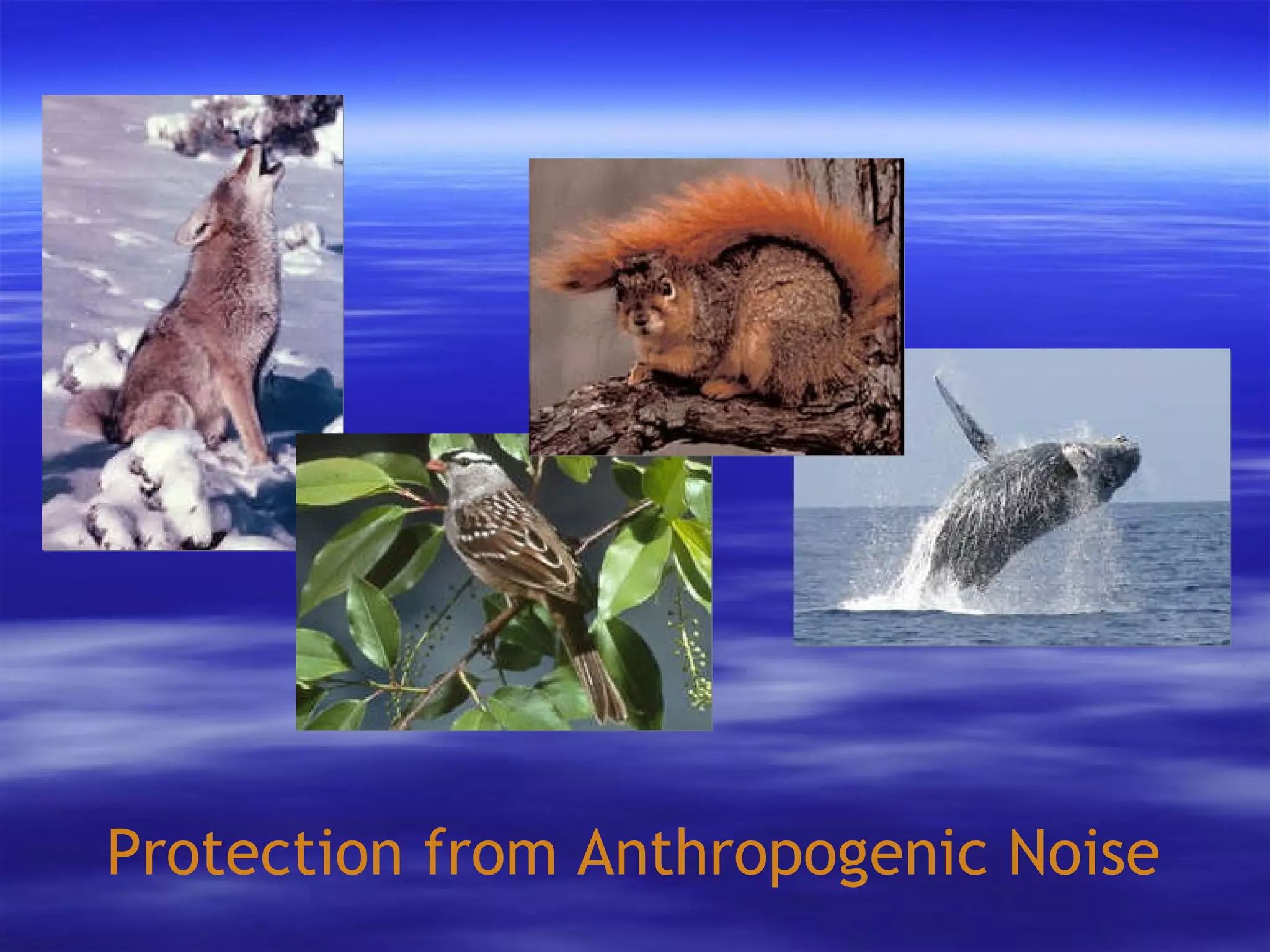 Protection from Anthropogenic Noise 