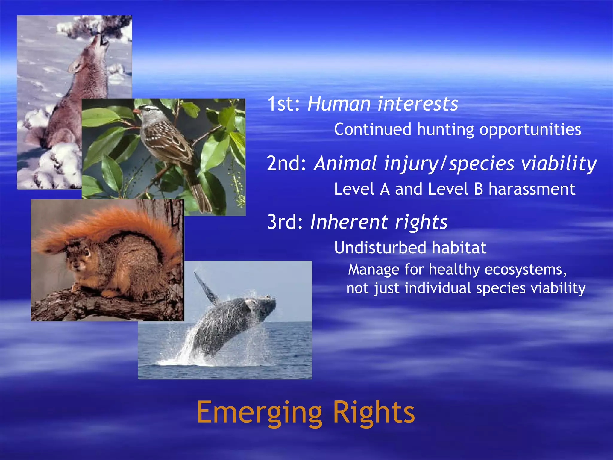 Emerging Rights 1st:  Human interests   Continued hunting opportunities 2nd:  Animal injury/species viability   Level A and Level B harassment 3rd:  Inherent rights   Undisturbed habitat   Manage for healthy ecosystems,    not just individual species viability 