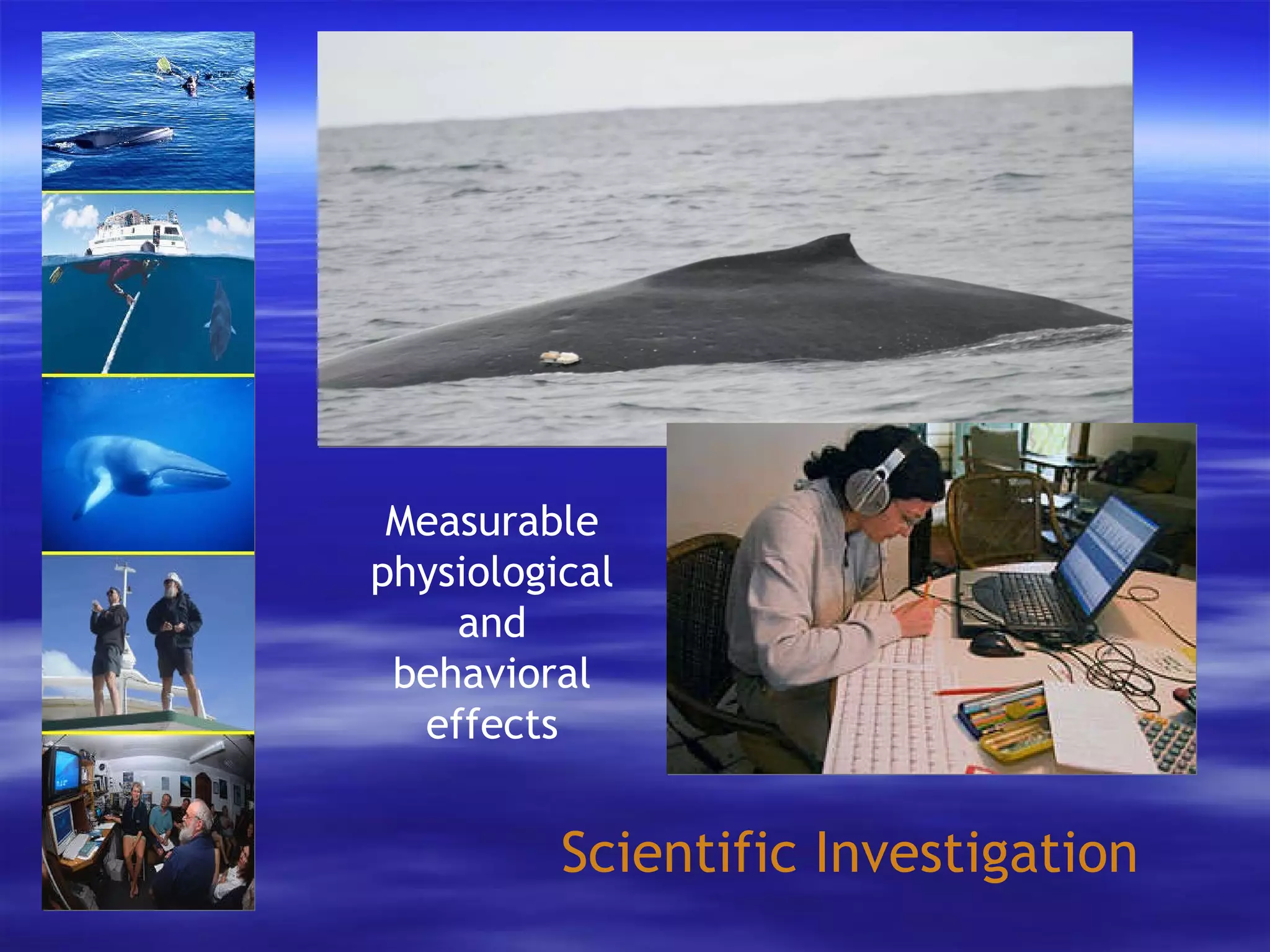 Scientific Investigation Measurable physiological and behavioral effects 