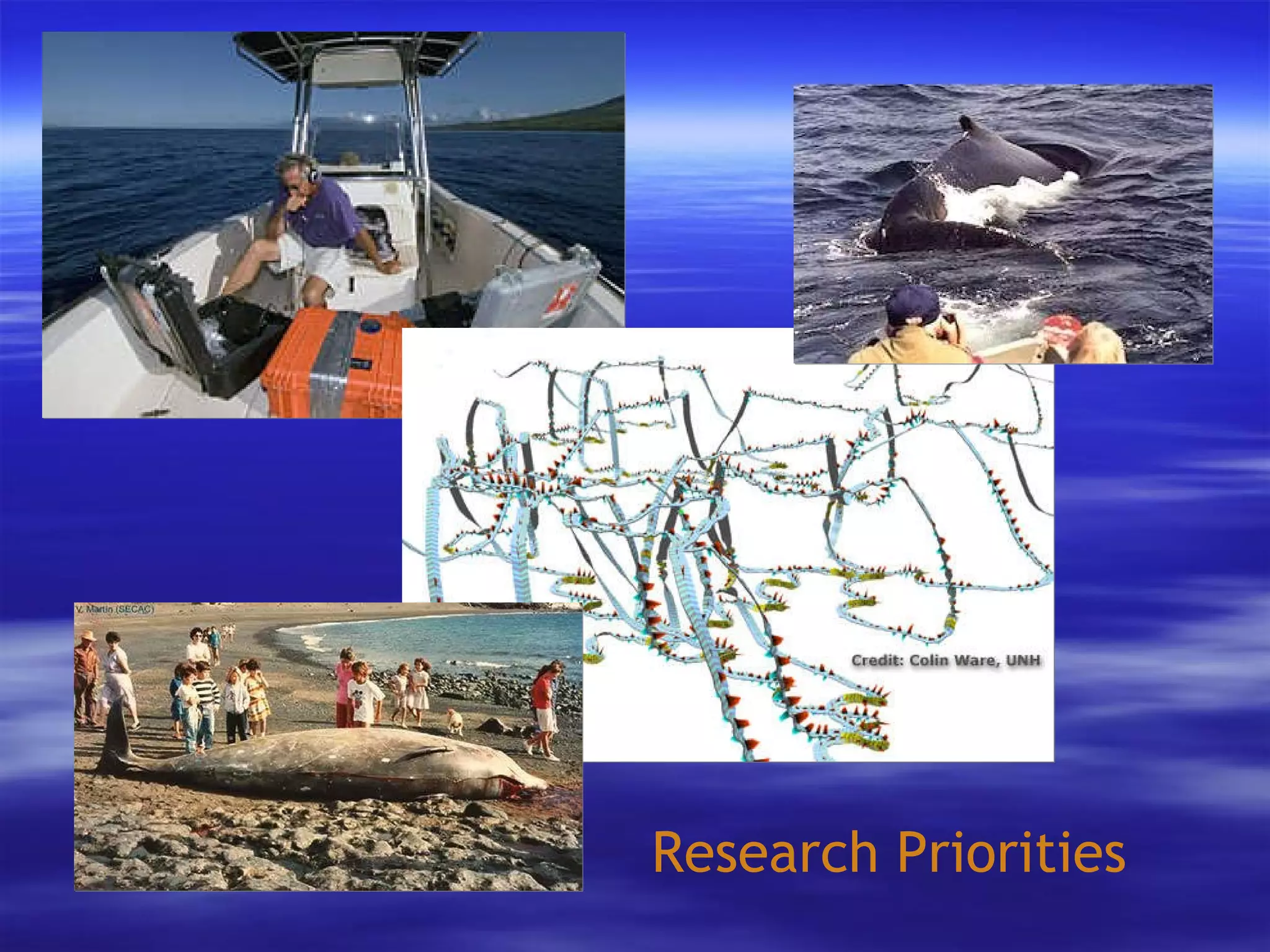 Research Priorities 