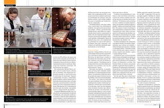 ambiente


                                                                                                                                          abelhas sem ferrão, que são menos estu-        meiros que para os últimos.                   abelhas, muito pelo contrário. Lá foi cunha-
                                                                                                                                          dadas. Sob coordenação da FAO, os três           O objetivo dos pesquisadores é esta-        da, em 2007, a expressão CCD, que em
                                                                                                                                          grupos pretendem também padronizar             belecer a dose letal destes inseticidas e     português significa “distúrbio de colapso
                                                                                                                                          as metodologias de avaliação, tanto das        a partir daí verificar também seus efei-      das colônias”, para se referir ao desapa-
                                                                                                                                          abelhas nativas, como da Apis mellifera        tos não mortais em abelhas sem ferrão e       recimento repentino e sem causa aparen-
                                                                                                                                          para que os resultados dos estudos pos-        melíferas. “Verificamos a ação no sistema     te de um grande número desses insetos.
                                                                                                                                          sam ser comparados.                            nervoso e também no sistema digestivo,        Algumas possíveis explicações já foram
                                                                                                                                             “As abelhas nativas, como jataí, irapuá,    nesse caso quando as abelhas ingerem o        apontadas, como o surgimento de vírus,
                                                                                                                                          uruçu, sofrem muito com a destruição do        produto”, explica a pós-doutoranda Thaisa     problemas de variabilidade genética, falta
                                                                                                                                          ambiente, sem opções de locais para fazer      Roat. Ela analisa os danos morfológicos       de alimentos adequados, intensidade no
                                                                                                                                          seus ninhos”, afirma o pós-doutorando          que comprometem a estrutura do cérebro        manejo das colmeias e uso intensivo dos
                                                                                                                                          Andrigo Pereira, especialista em compor-       responsável por visão, olfato e processa-     inseticidas. Mas nada ficou comprovado.
                                                                                                                                          tamento desses insetos e participante do       mento de informações das abelhas e po-          No Brasil, o problema também foi diag-
                                                                                                                                          projeto. Ele cita a importância dessas espé-   dem explicar a desorientação em campo.        nosticado em vários Estados, principal-
                                                                                                                                          cies para a preservação das plantas, dando     O mesmo é feito na fase de larva. “As doses   mente na Região Sul. Os dados não são
                                                                                                                                          como exemplo a mamangaba. Apesar de            de inseticida podem acelerar ou inibir a      conclusivos e por isso mesmo pesquisa-
                                                                                                                                          produzir pouco mel, ela é fundamental          metamorfose das abelhas”, diz.                dores como Malaspina preferem não usar
                                                                                                                                          na polinização de mais de 60 espécies            Os dados morfológicos são comparados        o termo CCD para se referir ao desapa-
                                                                                                                                          de plantas, entre elas o maracujá, e teve      com aqueles obtidos em estudos compor-        recimento desses insetos. A dificuldade
                                                                                                                                          o número de indivíduos diminuído signi-        tamentais, que avaliam, por exemplo, o        maior é comprovar a causa da morte,
                                                                                                                                          ficativamente no sul do Brasil.                reflexo da língua para alcançar o alimento    uma vez que os apicultores não sabem
                                                                                                                                                                                         e a atividade motora. “Tentamos avaliar       como encaminhar as amostras para os
      em busca da dose fatal                                                                amostra preciosa
      Pesquisadores testam o efeito imediato e a longo prazo de diferentes concentrações    Osmar Malaspina observa coleção de
                                                                                                                                          Ação no cérebro                                a dose mínima que começa a alterar o          laboratórios. Malaspina sugere que seja
      de agentes químicos que alteram o funcionamento do sistema nervoso de insetos         abelhas nativas, hoje ameaçadas               Segundo a bióloga Roberta Nocelli, da          sistema cognitivo das abelhas”, explica       feita uma documentação fotográfica das
                                                                                                                                          Universidade Federal de São Carlos (UFS-       o colega Andrigo Pereira.                     colmeias e que os apicultores registrem
                                                                                                                                          Car), associada ao grupo de Rio Claro, o         A suspeita de que os neonicotinoides        boletim de ocorrência caso queiram en-
                                                                                            ao tórax de 653 abelhas, das quais uma        Ministério da Agricultura considera a          podem causar mortandade em abelhas em         trar na Justiça, quando acreditarem que a
                                                                                            parte recebeu uma dose de inseticida. E       toxicidade dos inseticidas para as abe-        curto ou longo prazo é antiga. Em 2004,       causa pode ser a aplicação de inseticida.
                                                                                            observaram que 43% dos insetos expostos       lhas melíferas, mas não há estudos pa-         parte dessas substâncias foi proibida na        Para entender melhor o fenômeno e a
                                                                                            à substância morreram fora da colmeia,        ra outras espécies. “Acreditamos que as        França, na Alemanha e na Itália. Nos          importância dos insetos polinizadores
                                                                                            supostamente porque se perderam. Entre        meliponídeas têm mais dificuldade para         Estados Unidos, no entanto, uma petição       para a agricultura no Brasil, pesquisa-
                                                                                            as que não receberam o inseticida, 17%        degradar esses produtos e por isso são         pedindo a suspensão desses produtos, as-      dores de 36 instituições científicas, entre
                                                                                            morreram fora da colmeia.                     mais sensíveis”, afirma.                       sinada por 25 organizações ambientais e       os quais o grupo da Unesp de Rio Claro,
                                                                                               Em comunicado, Michael Henry, pri-            Para testar essa hipótese, os pesquisa-     de apicultores, foi rejeitada este ano pela   apoiados pelo CNPq e pelo Fundo Setorial
                                                                                            meiro autor do estudo francês, afirmou        dores da Unesp estão realizando estudos        Agência de Proteção Ambiental (EPA, em        do Agronegócio, acabaram de lançar o li-
                                                 Reflexo da língua
                                                 Cotonete embebido em água com açúcar
                                                                                            que os resultados “têm implicações im-        morfológicos e comportamentais em labo-        inglês), sob a alegação de que são neces-     vro Polinizadores no Brasil – contribuição
                                                 verifica se inseto consegue se alimentar   portantes quando se trata de processos        ratório, com aplicação de diferentes doses     sários mais dados sobre o assunto.            e perspectivas para a biodiversidade, uso
                                                                                            de autorização de inseticidas”. Segundo       de produtos que agem no sistema nervoso          Isso não quer dizer que os americanos       sustentável, conservação e serviços am-
                                                                                            o pesquisador, até agora, a autorização       das abelhas, entre eles os neonicotinoides.    não estão preocupados com o sumiço das        bientais. O livro é o primeiro documento
                                                                                            desses produtos requeria apenas que os           No cérebro, essa classe de inseticida                                                     em português que aborda o conhecimento
                                                                                            fabricantes demonstrassem que o princípio     tem ação semelhante à da nicotina. Ambos                                                     sobre polinizadores tanto em áreas natu-
                                                                                            ativo não causa diretamente a morte das       estimulam um receptor cerebral que nor-                                                      rais como em agroecossistemas.
                                                                                            abelhas nas doses empregadas habitual-        malmente é ativado pelo neurotransmis-                                                         Segundo os pesquisadores, a perda dos
                                                                                            mente. Mas ignoram-se as consequências        sor acetilcolina, tanto em seres humanos                                                     insetos se agrava no país com a derrubada
                                                                                            das doses que não matam, mas podem            como em insetos. Acontece que, diferen-             Atualmente, a autorização                das florestas e as queimadas, que afetam
                                                                                            alterar o comportamento das abelhas.          temente da nicotina e da acetilcolina, os             desses inseticidas requer              o desenvolvimento das colônias de abe-
                                                                                               A equipe de Malaspina em Rio Claro, em     neonicotinoides ligam-se a esse receptor             apenas que os fabricantes               lhas nativas, muitas delas ainda desco-
                                                                                                                                                                                                      demonstrem que o
                                                                                            associação com pesquisadores do Quênia        (chamado colinérgico) de forma irreversível,                                                 nhecidas e não adaptadas ao manejo. A
                                                                                                                                                                                                princípio ativo, nas doses
                                                                                            e da Holanda, está realizando estudos pa-     provocando uma superestimulação neuro-              habituais, não causa morte               extinção dessas abelhas pode causar um
                                                                                            ra verificar o efeito de doses subletais de   nal. Como a afinidade entre os receptores             das abelhas, ignorando a               problema ecológico de grandes propor-
      raia olímpica
      Atividade motora é avaliada pelo tempo que abelhas demoram para atravessar
                                                                                            neonicotinoides e outros inseticidas nas      colinérgicos e os neonicotinoides é muito          consequência de doses que                 ções, uma vez que são responsáveis pela
      pista; acima à dir., potes com insetos guardados em temperatura adequada              abelhas, principalmente das espécies na-      maior em insetos do que em humanos, o                  não matam, mas podem                  polinização de parte das plantas nativas
                                                                                            tivas ou meliponídeas, conhecidas como        produto é muito mais tóxico para os pri-                 desorientar os insetos              de diferentes biomas.

28 unespciência .:. setembro de 2012                                                                                                                                                                                                                setembro de 2012 .:. unespciência   29
 