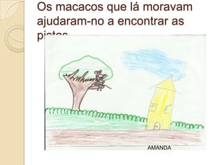 Os macacos que lá moravam
ajudaram-no a encontrar as
pistas.




                  AMANDA
 