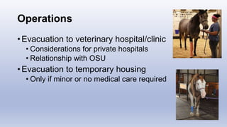 Operations
• Evacuation to veterinary hospital/clinic
• Considerations for private hospitals
• Relationship with OSU
• Evacuation to temporary housing
• Only if minor or no medical care required
 