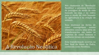 O surgimento da agricultura e do Estado