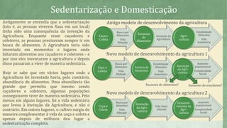 O surgimento da agricultura e do Estado