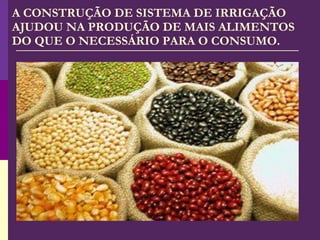 A CONSTRUÇÃO DE SISTEMA DE IRRIGAÇÃO AJUDOU NA PRODUÇÃO DE MAIS ALIMENTOS DO QUE O NECESSÁRIO PARA O CONSUMO. 