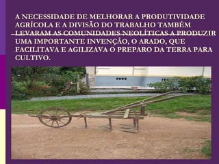 A NECESSIDADE DE MELHORAR A PRODUTIVIDADE AGRÍCOLA E A DIVISÃO DO TRABALHO TAMBÉM LEVARAM AS COMUNIDADES NEOLÍTICAS A PRODUZIR UMA IMPORTANTE INVENÇÃO, O ARADO, QUE FACILITAVA E AGILIZAVA O PREPARO DA TERRA PARA CULTIVO. 