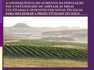 A CONSEQUÊNCIA DO AUMENTO DA POPULAÇÃO FOI A NECESSIDADE DE AMPLIAR AS ÁREAS CULTIVADAS E DESENVOLVER NOVAS TÉCNICAS PARA MELHORAR A PRODUTIVIDADE DO SOLO. 