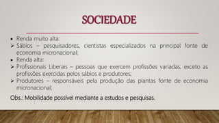  Renda muito alta:
 Sábios – pesquisadores, cientistas especializados na principal fonte de
economia micronacional;
 Renda alta:
 Profissionais Liberais – pessoas que exercem profissões variadas, exceto as
profissões exercidas pelos sábios e produtores;
 Produtores – responsáveis pela produção das plantas fonte de economia
micronacional;
Obs.: Mobilidade possível mediante a estudos e pesquisas.
SOCIEDADE
 