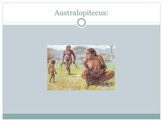 Australopitecus: 