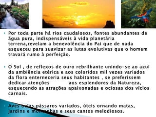 Por toda parte há rios caudalosos, fontes abundantes de água pura, indispensáveis à vida planetária terrena,revelam a benevolência do Pai que de nada esqueceu para suavizar as lutas evolutivas que o homem travará rumo à perfeição. O Sol , de reflexos de ouro rebrilhante unindo-se ao azul da ambiência etérica e aos coloridos mil vezes variados da flora enterneceria seus habitantes , se preferissem dedicar atenções  aos esplendores da Natureza, esquecendo as atrações apaixonadas e ociosas dos vícios carnais.  Aves belas,pássaros variados, úteis ornando matas, jardins e montanhas e seus cantos melodiosos. Outros animais...alguns mansos e humildes, amando o homem com ternura e servindo-o quais abnegados escravos; outros ferozes,mas belos e majestosos...todos divididos e subdivididos em espécies, ou famílias atestando o início de uma inteligência destinada a distender-se, a evolução.  