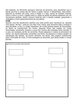 das espécies. As Sementes possuem reservas de alimento, para possibilitar que a
planta germine e cresça até ter folhas e poder realizar a fotossíntese. Para brotar,
algumas se dividem em duas, como o feijão e a soja, outras se mantém inteiras,
como o milho e o arroz. Ligadas entre si, todas as partes da planta trabalham em um
sincronismo perfeito. Assim, procure tratá-las com o devido cuidado, garantindo a
vitalidade e o bom desenvolvimento de sua planta.
FLOR
Quando uma flor desabrocha significa que está pronta para reproduzir-se. Quando
uma planta "dá flor", está em sua fase mais crítica, pois direciona toda a energia à
esta atividade. A flor é o órgão reprodutor de muitas plantas depois de fecundadas,
as flores se transformam em frutos. Algumas flores são usadas em nossa
alimentação: alcachofra, brócolis e couve flor. Outras são utilizadas como remédio. É
o caso, por exemplo, da flor da camomila. Muitos pássaros e insetos se alimentam do
néctar, um líquido adocicado, existentes nas flores. Os pássaros e insetos ajudam na
reprodução das plantas. Ao buscar alimento nas flores, eles acabam contribuindo
para a formação do fruto. O fruto protegerá as sementes, que darão origem a novas
plantas.
■ Nomeie as partes das plantas:
 